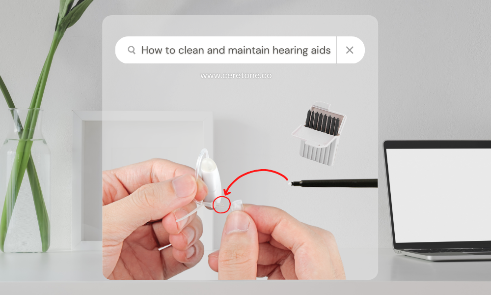 Hearing Aid Maintenance & Cleaning